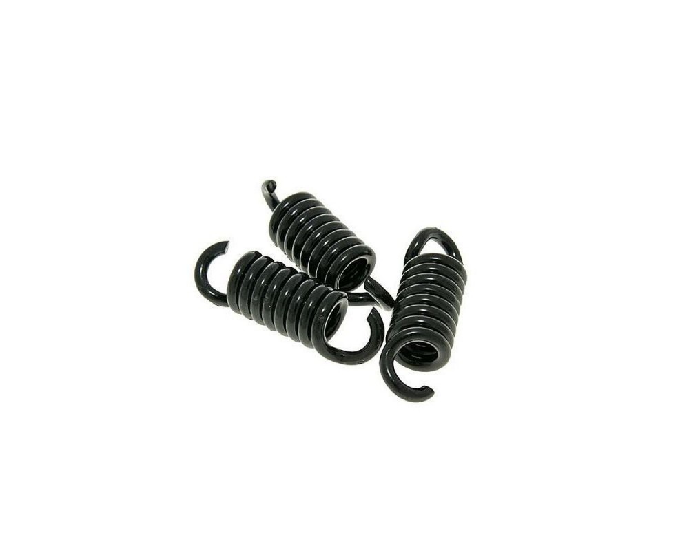 Kupplungsfedern MALOSSI Delta Clutch - Runner 125-180ccm