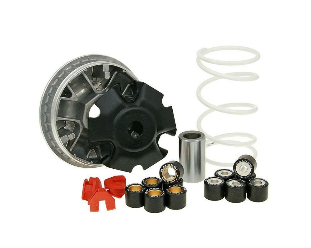 Variomatik MALOSSI Multivar 2000 f�r Leader 125-150cc