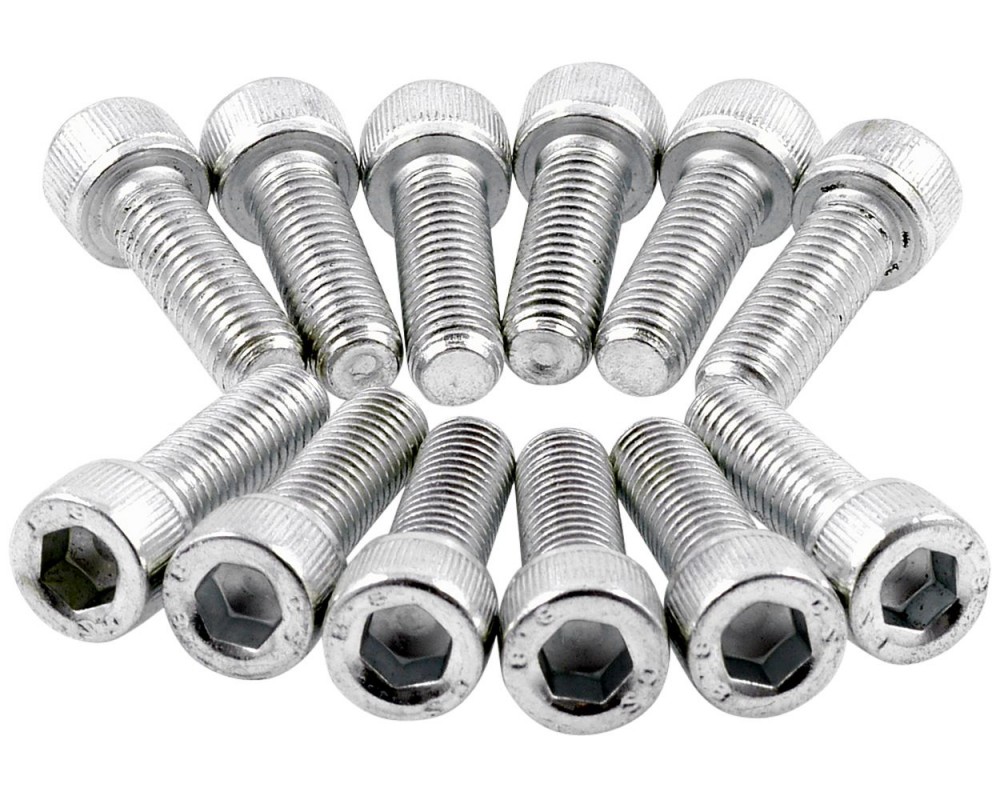 Sechskant Schraube M8x25 (12 St�ck)