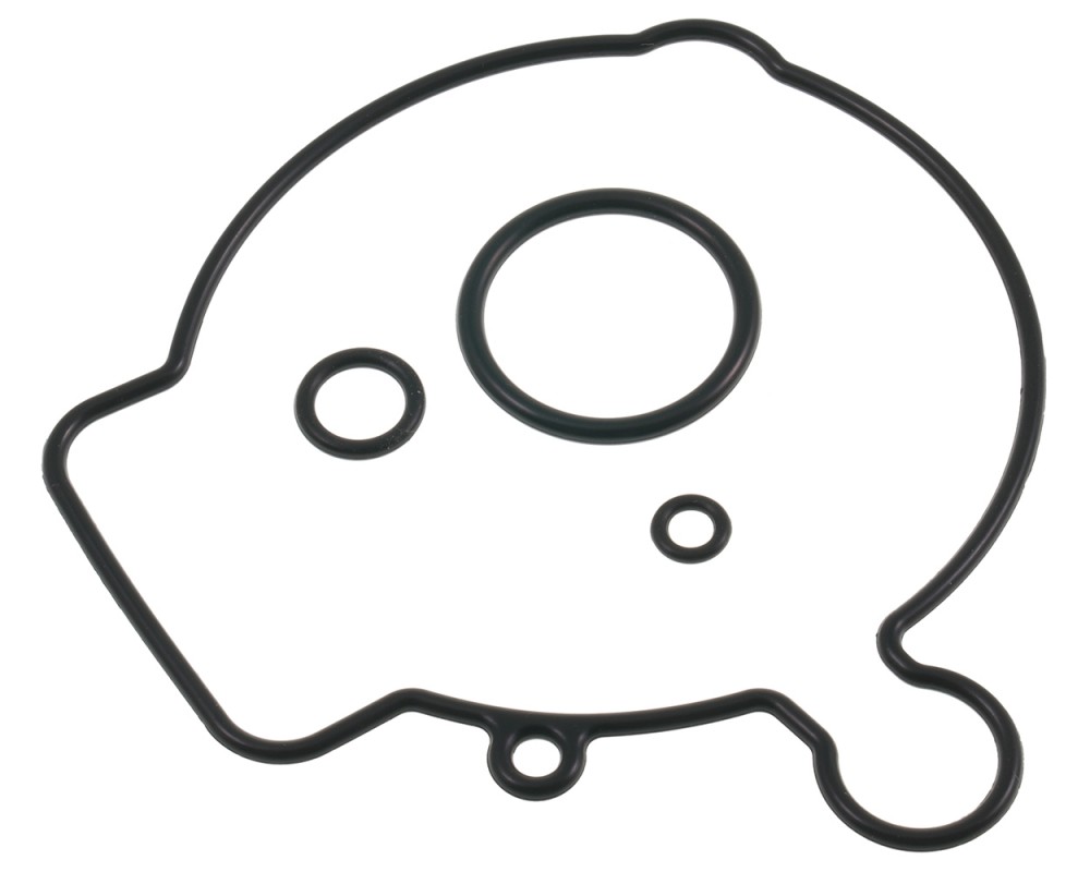 Dichtungssatz Vergaser Original PIAGGIO f�r Vergaser Mikuni BS24 Aprilia Mojito 125, Piaggio Sfera RST 125, Vespa ET4 125 Maxiscooter Roller Ersatz