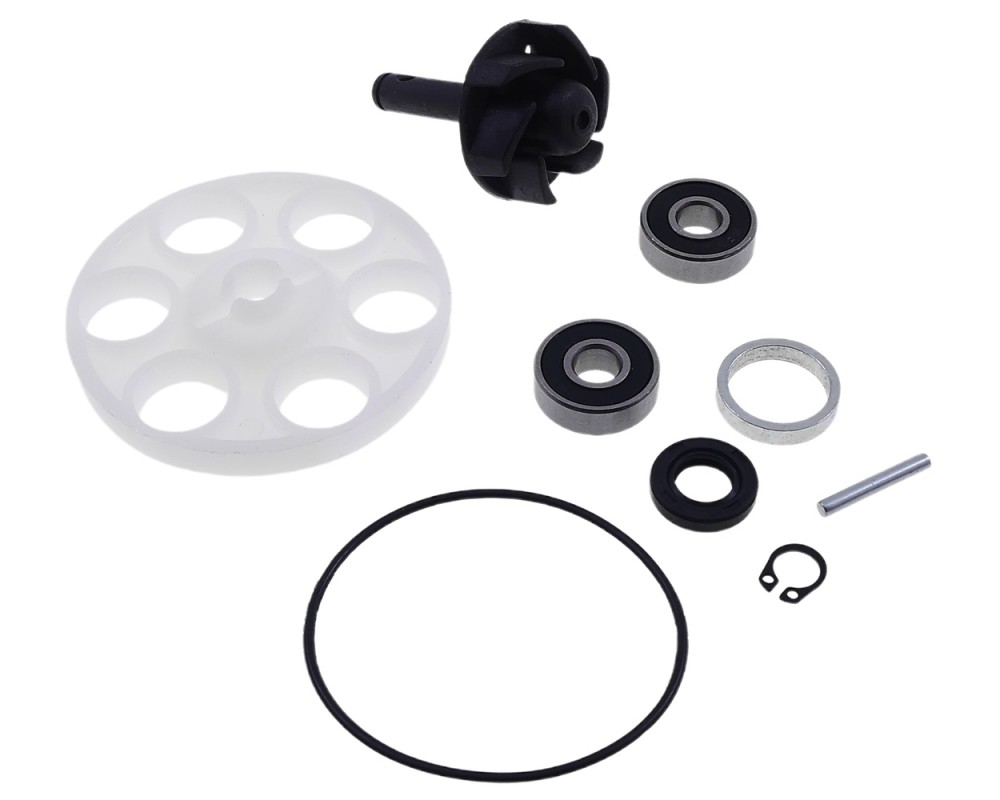 Reparaturkit Wasserpumpe MOTOFORCE Minarelli LC