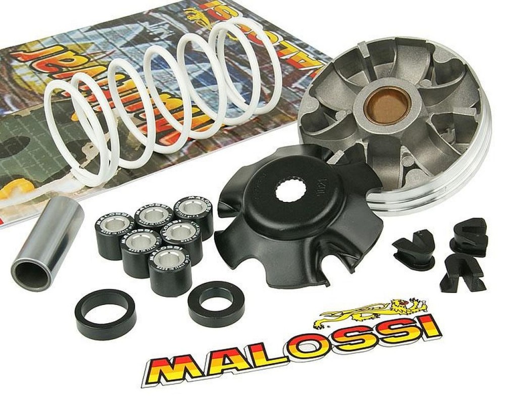 Variomatik MALOSSI Multivar 2000 Piaggio ab 1998 19x15,5mm Gewichte NRG, Zip SP, TPH, Gilera Runner, Aprilia SR50